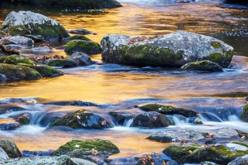 Autumn;Blue;Brook;Brown;Cascade;Cascading;Cool;Creek;Fall;Fallen;Fallen Leaves;Falling;Falls;Flow;Gold;Great Smoky Mountains;Green;Leaf;Leaves;Lynn Camp Prong;Oneness;Orange;Peaceful;Pouring;Rapids;Reflection;Reflections;Ripple;River;Rivers;Stream;Stream Bank;Streaming;Tan;Tennessee;Wabi Sabi;Water;Waterfall;Waterfalls;Wet;Yellow;flowing;zen